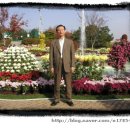 산대5리 이미지