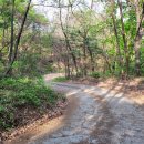 고은1리 마을회관 이미지