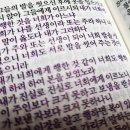 반포 속옷·분변·연갑자·경책 등 100년전 용어 수두룩한 성경 이미지