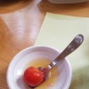 농가맛집 채림의정원 네이버블로그