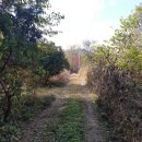 수동농장 이미지