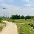 삼거리천곡고인돌 네이버블로그