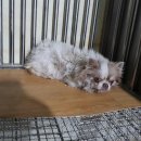 문경카센타 이미지