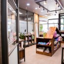 윌 동물외상센터 이미지