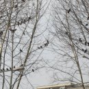 천하고물상 이미지