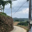 옷점항 | 충남 태안 펜션 안면도 갤러리펜션 무제한바베큐 가성비 좋아