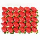 (주)네오게임즈 이미지