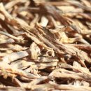 천일건어물 이미지