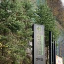 홍천교육도서관 | [출강]차를 통한 마음관리 | 기업 워크숍, 홍천 힐리언스 선마을, 건강보험심사평가원 전문가 레벨업...