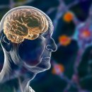 동서요양병원 이미지