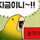 올인결혼 이미지