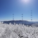 하늘빛바람