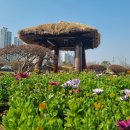 바다가 보이는 풍경 이미지