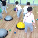 Balance Gym 이미지