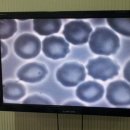 혜성플러스의원 이미지