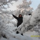 꿈의궁전 이미지