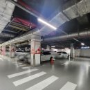 대치2동주민센터 | 대치2동주민센터공영주차장 대치2동문화센터공영주차장 대치동공영주차장 삼성역근처공영주차장