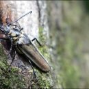 장수주유소 이미지
