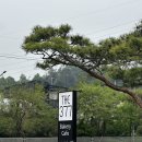 THE377베이커리카페(2호점)