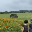 석식농장 이미지