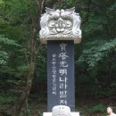 현불사 Daum카페