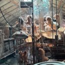 개미용중 이미지