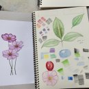 색연필 그림그리기 이미지