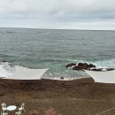 영덕바닷가솔밭펜션 이미지