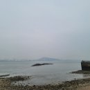 구읍뱃터 이미지