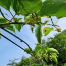 한실농장 이미지