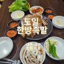 도일한방족발