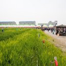 미성동-27 이미지