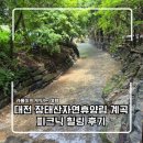 장태산의아침 | [대전 가볼만한곳] 폭염주의보 탈출! 대전 장태산자연휴양림 계곡 피크닉 힐링 후기
