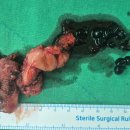 성모부부내과의원 이미지