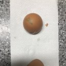 승달(애) 이미지