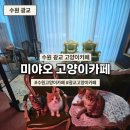 광교 고양이카페 데이트 미야오 고양이카페 광교호수공원본점