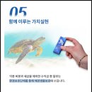 친환경기업 마린이노베이션 마린샵에서 구매한 달하루양갱 내돈내산 리얼후기