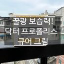 케어하다 | [르베라쥬 닥터 프로폴리스 큐어크림] 꿀광 보습력으로 피부를 케어하다! 르베라쥬 크림 사용 후기