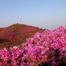 동천주유소 이미지
