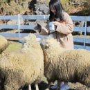 주상목장 이미지