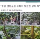농업회사법인시온바이오주식회사 | 친환경 병해충 해결책 ‘백강탄’, 6월 재출시… 농약 대체 기대