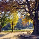 백봉초등학교 이미지