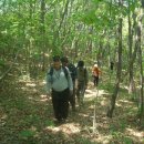 미원초등학교 장락분교 | 왕터산 산행후기(1)