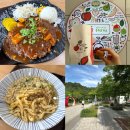 충주휴게소 화장실(창원방향) | 충주휴게소 하행(창원방향) 맛집 사과돈까스 사과빵 우동 후기 반려견 스테이션&amp;휴식공간까지