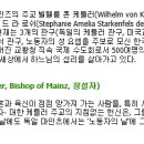 천주섭리수녀회 이미지