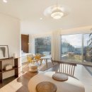 미자애견 이미지