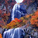 해동농장 이미지