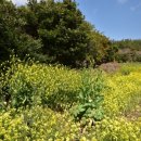 느링느링스테이 이미지