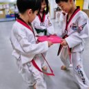 퍼스트 천무 태권도장 이미지