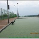 강구대게축구장 이미지